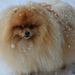 Profile Picture of Jeannine Barnes (@neen61) on Pinterest
