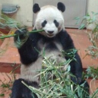 Profile Picture of Julia Grosso (@julia-grosso) on Quora