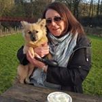 Profile Picture of Susan Walmsley (@walmsleysusan) on Instagram