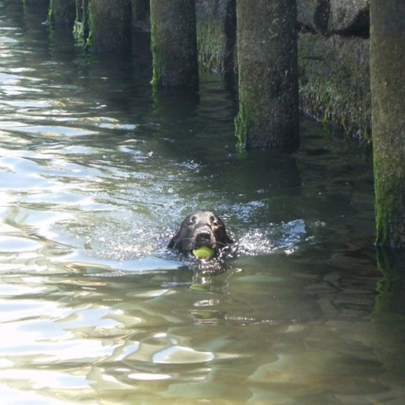 Profile Picture of Jes Berghorn (@jesb314) on Poshmark