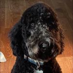 Profile Picture of Mark Story (@denslow1919) on Instagram