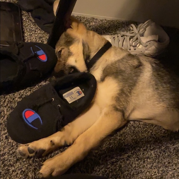 Profile Picture of Russell Cyprowski (@rcyprowski) on Poshmark