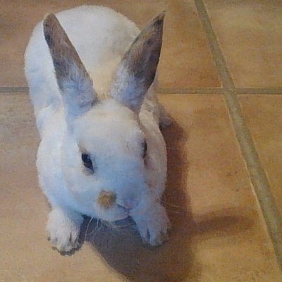 Profile Picture of Brooke Paige Downing (@Paiguy04Brooke) on Twitter