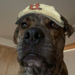 Profile Picture of Kyle Thiessen (@kyle_thiessen) on Instagram