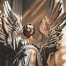 Samuel - Memento Mori - Twitter Profile Picture of Samuel - Memento Mori (@frankenstinct) on Twitter