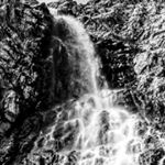 Profile Picture of Jared Bronson (@jare_bear88) on Instagram