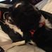Profile Picture of Evelyn Engle (@evelyn.engle.90) on Facebook