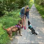 Profile Picture of Katie Blackwell Dog Walking (@katie.blackwell_dog_walking) on Instagram