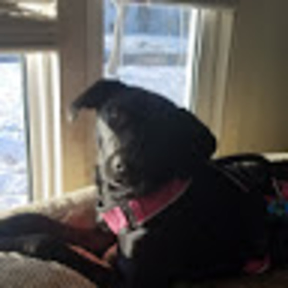 Profile Picture of Connor Williams (@cw0283437) on Poshmark