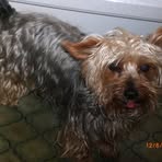 David Aulbach - Facebook Profile Picture of David Aulbach (@david.aulbach) on Facebook