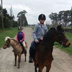 Kelly Patchett - Instagram Profile Picture of Kelly Patchett (@patchettkelly) on Instagram