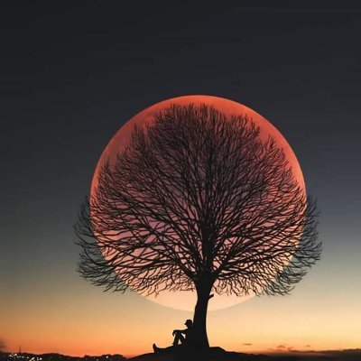 Profile Picture of Kevin Emir Gordillo Ramírez (@Kevinemirgordi2) on Twitter