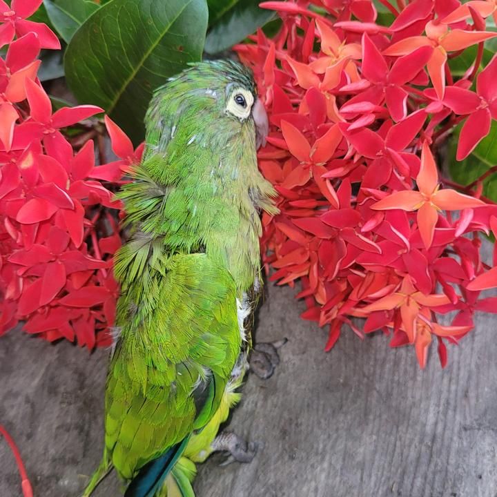 Profile Picture of Jordan.Harrison (@u0v7kursrv0) on Tiktok