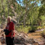 Profile Picture of Anne Mary Bubbers (@annemary1957) on Instagram