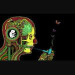 Profile Picture of Sam Pyle (@pyle_sam) on Instagram