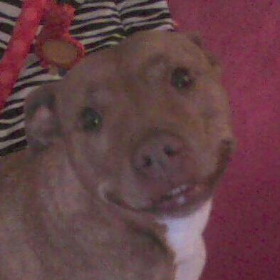 Profile Picture of Aaron Frizzell (@aaron_frizzell) on Twitter