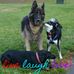 Profile Picture of Janet Harned (@janet.harned.9) on Facebook
