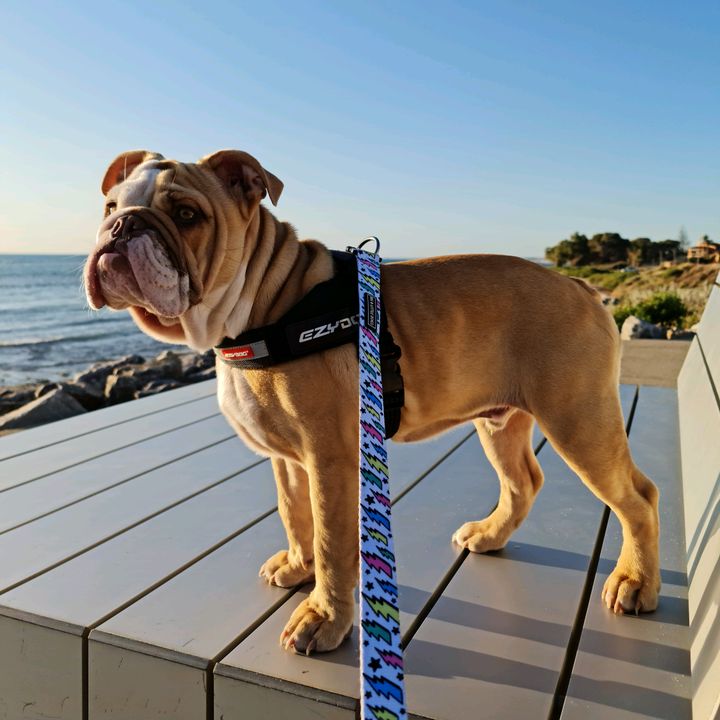 Profile Picture of Daniel Burnett (@@dbree82) on Tiktok