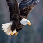 Profile Picture of Eugenia Zga (@Eugenia-Zga) on Facebook