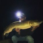 Profile Picture of jason schreiber (@muskymayhem) on Instagram