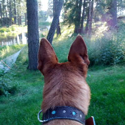 Profile Picture of Randy Grim (@RandyGrim) on Twitter