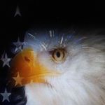 Profile Picture of Greg Wilcox (@greg.wilcox.7545) on Instagram