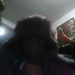 Profile Picture of carldarius donaldson (@carldarius12345) on Instagram