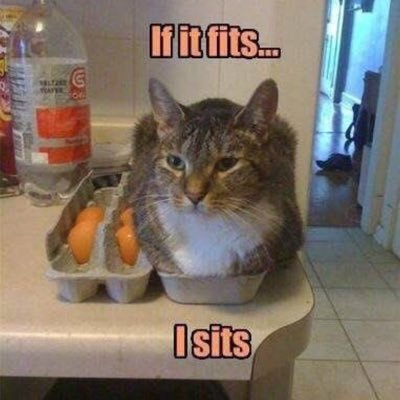 Profile Picture of Jason Wiens (@tuarloth) on Twitter