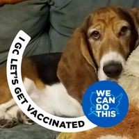 Profile Picture of Nanette Watson (@nanette-watson-4) on Quora