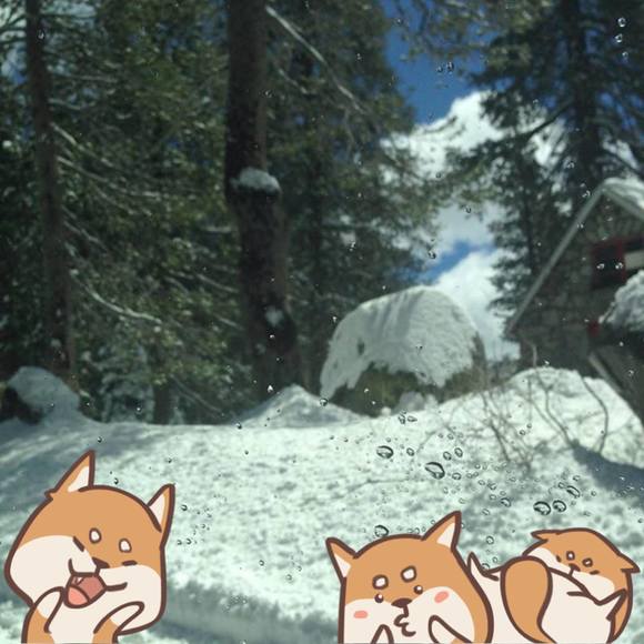 Profile Picture of Crash Crashes (@crashl445) on Poshmark