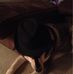 Profile Picture of James Buker (Jamesy poo) (@James-Buker) on Facebook