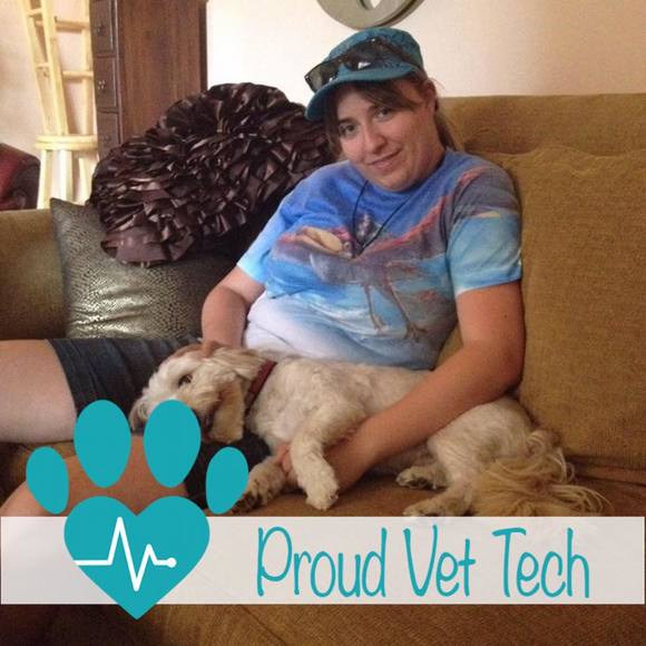 Kelsey Beseda - Poshmark Profile Picture of Kelsey Beseda (@kelseybeseda) on Poshmark