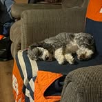 Profile Picture of Kenny Raner (@Kenny-Raner) on Facebook