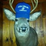 Profile Picture of Craig Major (@major.craig) on Instagram