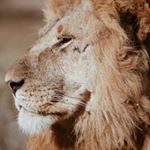 Profile Picture of Steven S Gessner (@tofeelistoreal) on Instagram