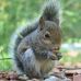 Profile Picture of Timothy Squirrell (@timothy.squirrell) on Facebook