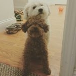 Profile Picture of Garth & Keith (@garthandkeith) on Instagram