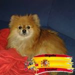 Profile Picture of isa_ mata (@isabelgarciamatamoros) on Instagram