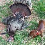 Profile Picture of Brian Shelton (@brianshelton98) on Instagram