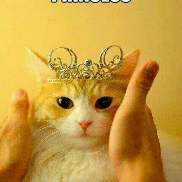 Profile Picture of Nicki Gaetke (@ngaetke) on Poshmark