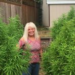 Profile Picture of Lisa Abbott (@lisa.abbott.585) on Facebook