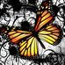Profile Picture of Patricia De Stefano (@patricia.destefano.12) on Facebook