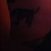 Profile Picture of Aaron Burchfield (@ablori4) on Pinterest
