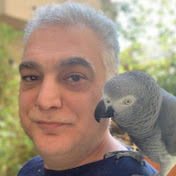 Profile Picture of Danny Levy (@dannylevy6782) on Youtube