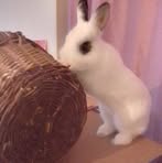 Profile Picture of Catherine Magere (@Catherine-Magere) on Facebook