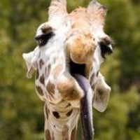 Profile Picture of Christopher Daniel Saitta (@christopher-daniel-saitta) on Quora