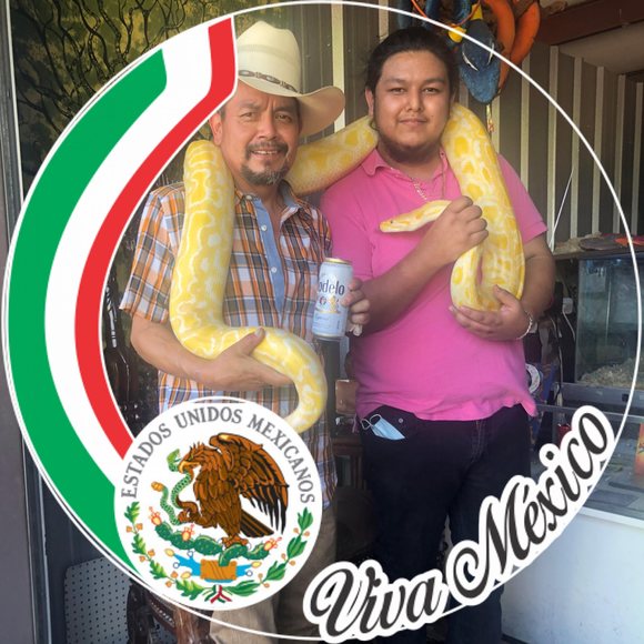 Profile Picture of Jonathan Zamarron (@jonathanzamarro) on Poshmark