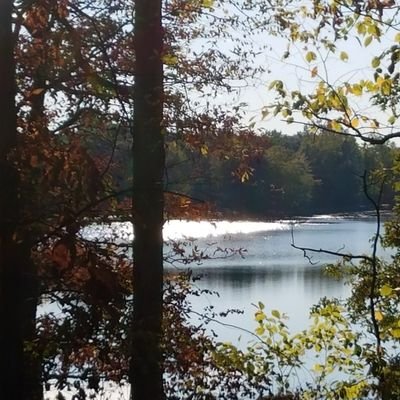 Profile Picture of Amanda Lantzy (@abetz22) on Twitter