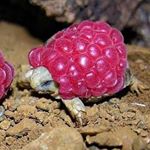 Jon Favretto - Instagram Profile Picture of Jon Favretto (@jon_favretto) on Instagram