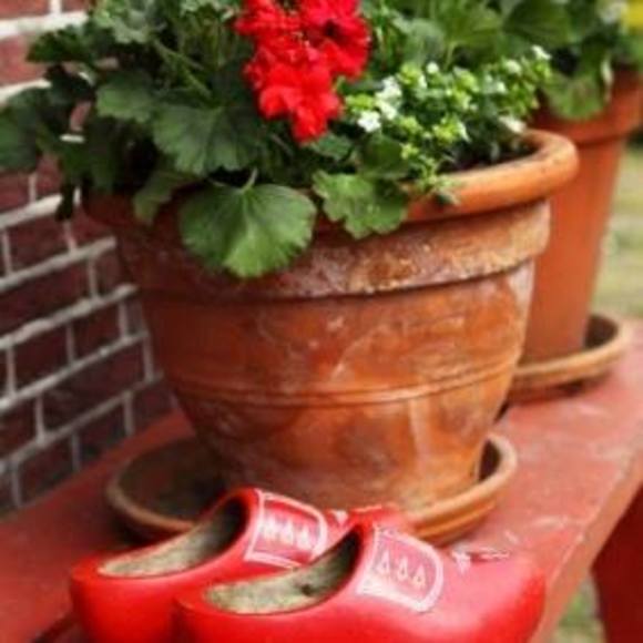 Profile Picture of Janet Mol (@janetmol) on Poshmark